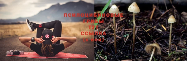 кристаллы Заволжск