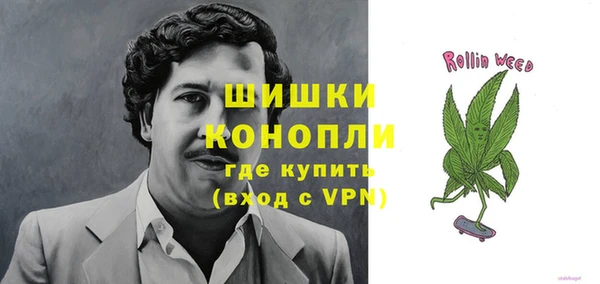 мескалин Заводоуковск