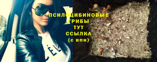 мескалин Заводоуковск