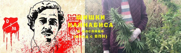 мескалин Заводоуковск