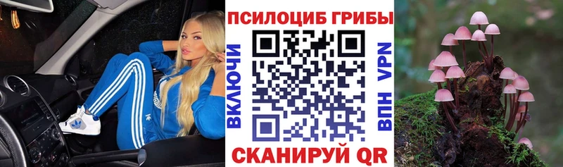 Псилоцибиновые грибы MAGIC MUSHROOMS  Купить закладки  Зубцов 